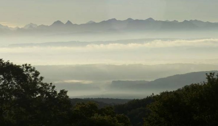couche de smog au-dessus d'une forêt. au loin, des montagnes.