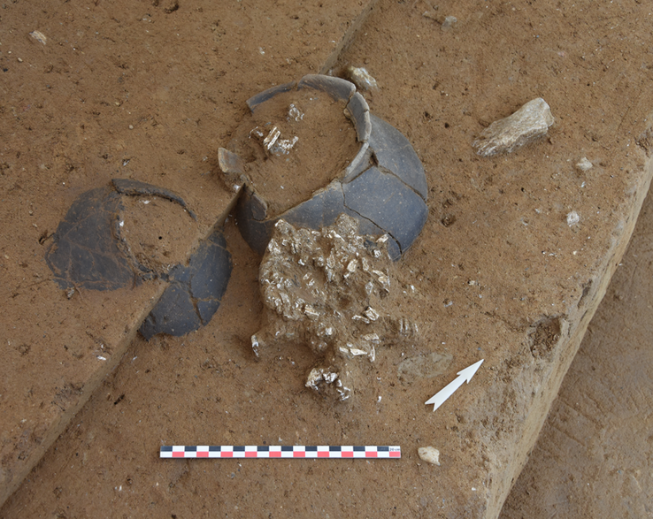 Poteries brisées sombres et ossements encore pris dans la terre