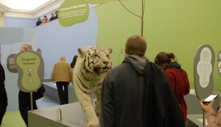 Public visitant l'expo Oh my God! au Palais de Rumine (Musée de zoologie)