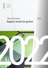 Rapport annuel au format PDF