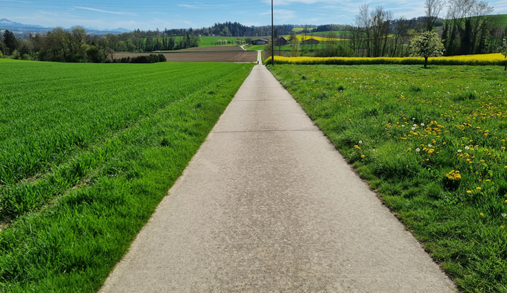 Un chemin de remaniement parcellaire dans la campagne vaudoise