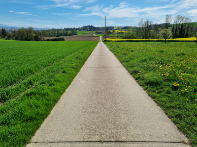 Un chemin de remaniement parcellaire dans la campagne vaudoise