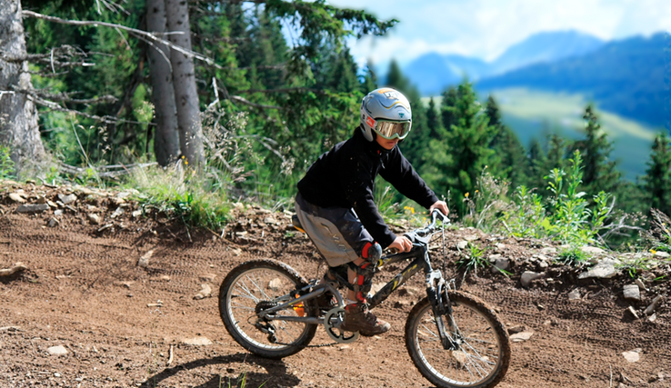 un homme sur un VTT descend une pente dans une forêt. au loin, les montagnes