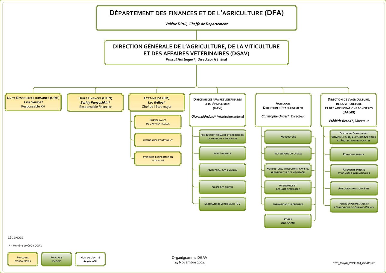 Organigramme