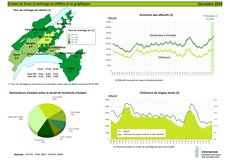 illustration visuelle de l'évolution du chômage