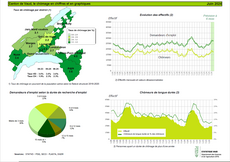 infographie de l'évolution statistique du chômage dans le canton