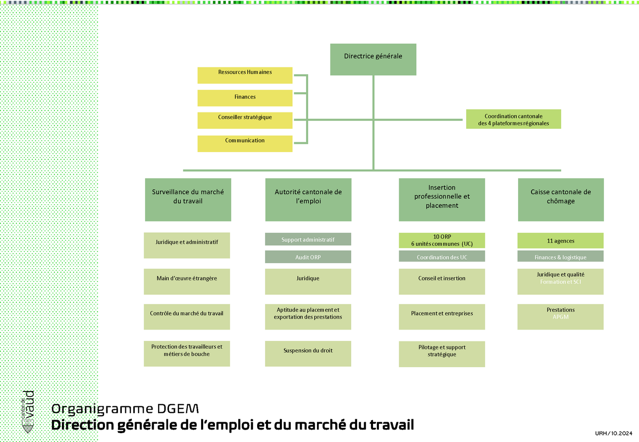 Organigramme de la DGEM 2024