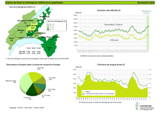 Graphique statistiques vaudoises du chômage novembre 2024