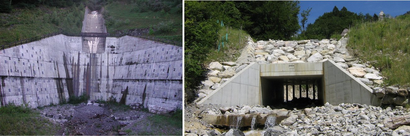 Dépotoir du Pissot (à gauche) et ouvrage de protection sur la Tinière (à droite) 