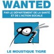 Wanted : moustique tigre