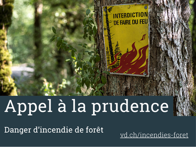 panneau "feux interdit" fixé au tronc d'un arbre en forêt