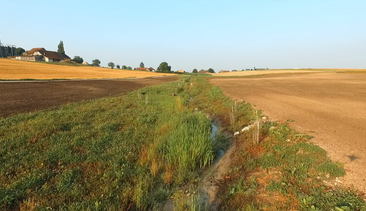 Exemple d'aires naturelles interconnectées