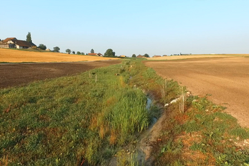 Exemple d'aires naturelles interconnectées