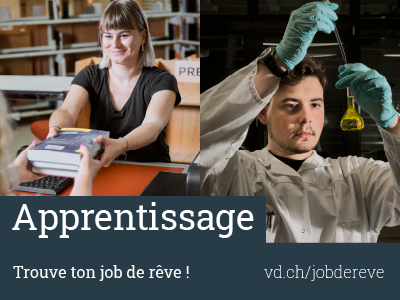 Apprentissage Job de rêve