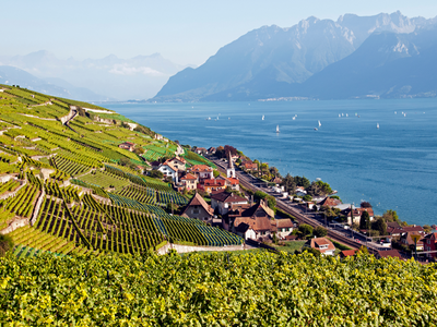 vue du vignoble de Lavaux et du village de Villette