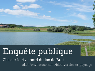 vue de la partie nord du lac de Bret, décor agreste