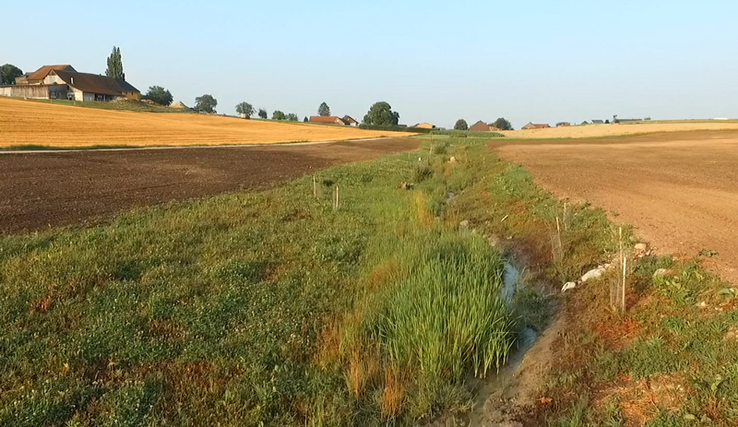 Ruisseau remis au jour dans la campagne vaudoise