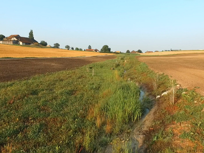 Ruisseau remis au jour dans la campagne vaudoise