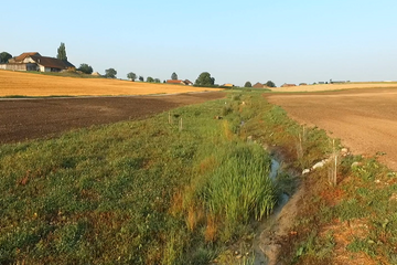 Ruisseau remis au jour dans la campagne vaudoise