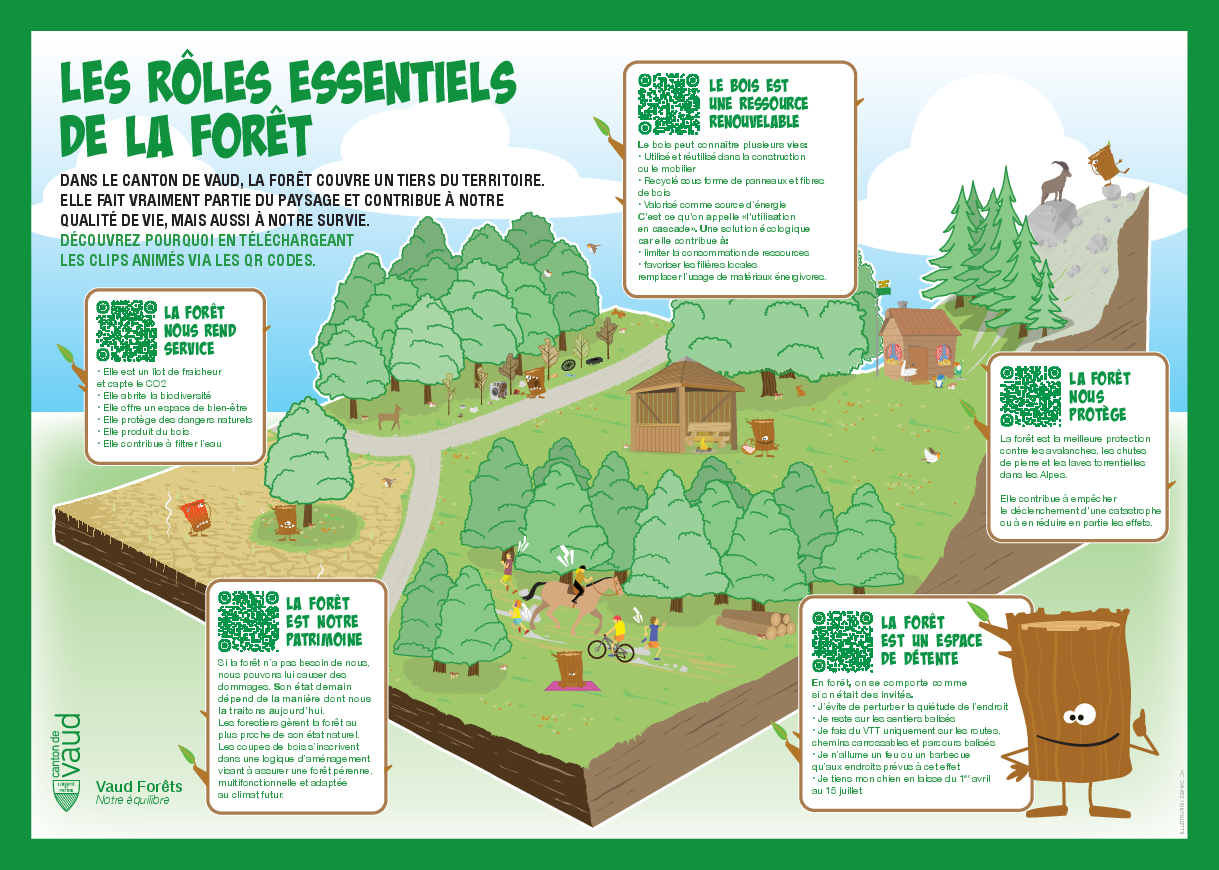 Les rôles essentiels de la forêt