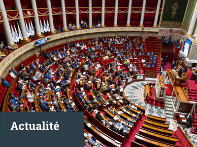 Les participant.e.s à l’Assemblée plénière de l’APF, Paris le 12 juillet 2025