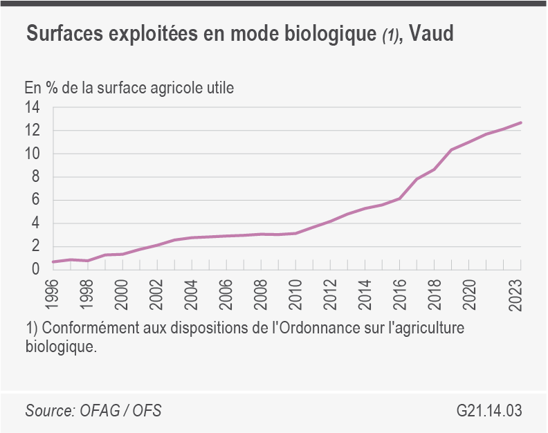 graphique