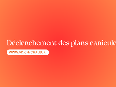 canicule